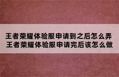 王者荣耀体验服申请到之后怎么弄 王者荣耀体验服申请完后该怎么做